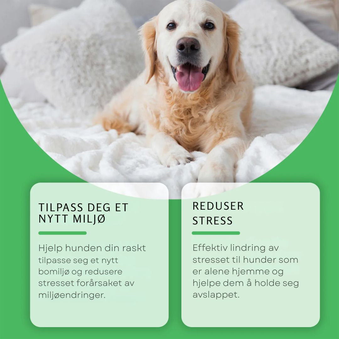 PuppyPeace Diffuser Kit - Perfekt til Valpematten