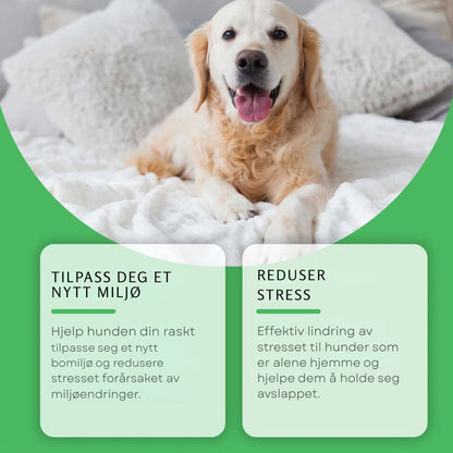 PuppyPeace Diffuser Kit - Perfekt til Valpematten