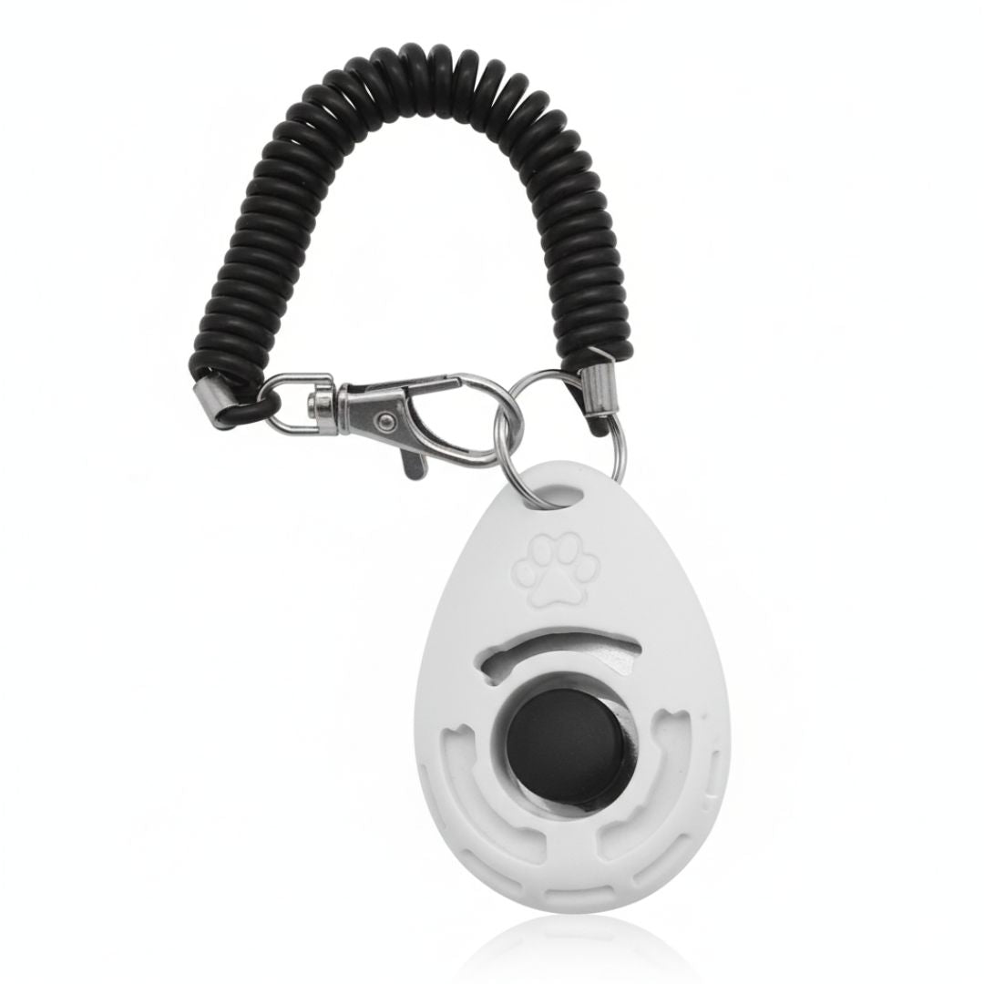 Good Click™ – for hver gang valpen gjør rett.