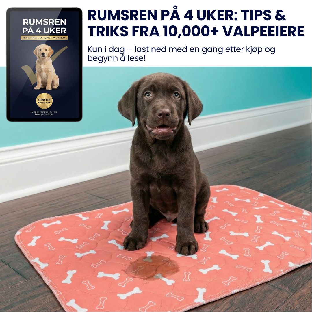 Gratis E-bok: Tips og triks fra 10.000+ Valpeeiere - 90 Sider