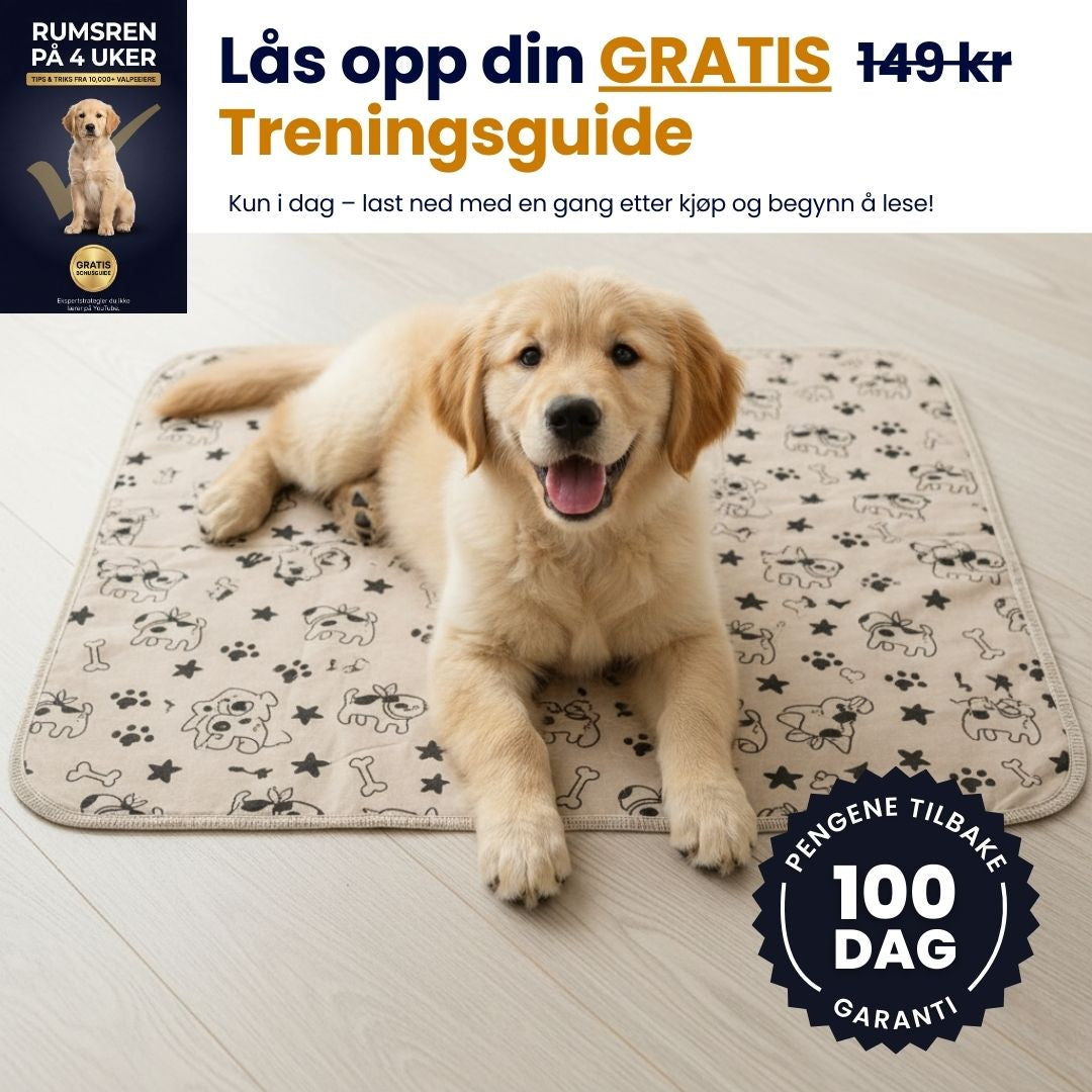 Valpematte – Den eneste tissematten du trenger