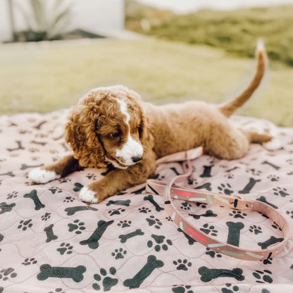 Valpematte – Den eneste tissematten du trenger