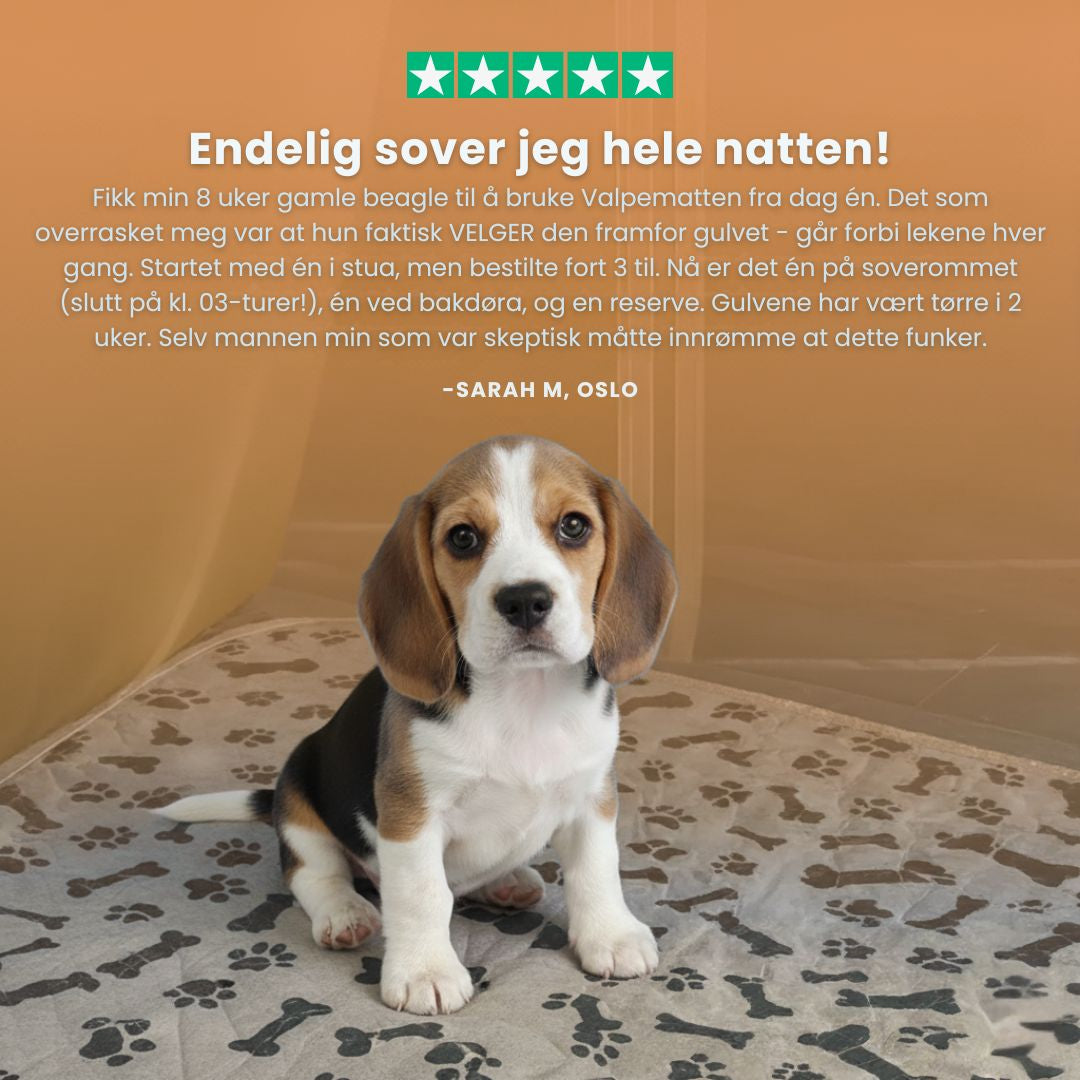 Valpematte – Den eneste tissematten du trenger