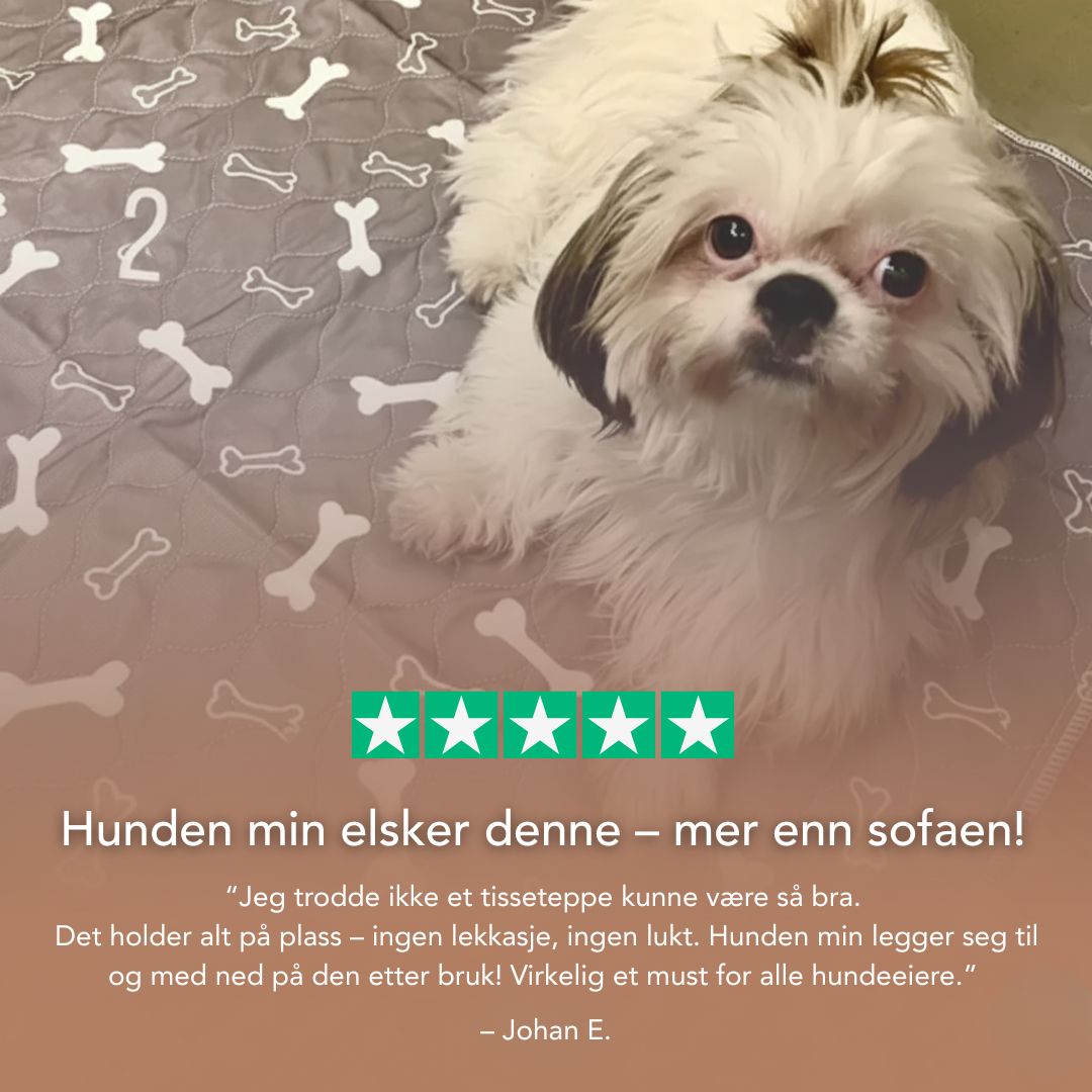 Valpematte – Den eneste tissematten du trenger